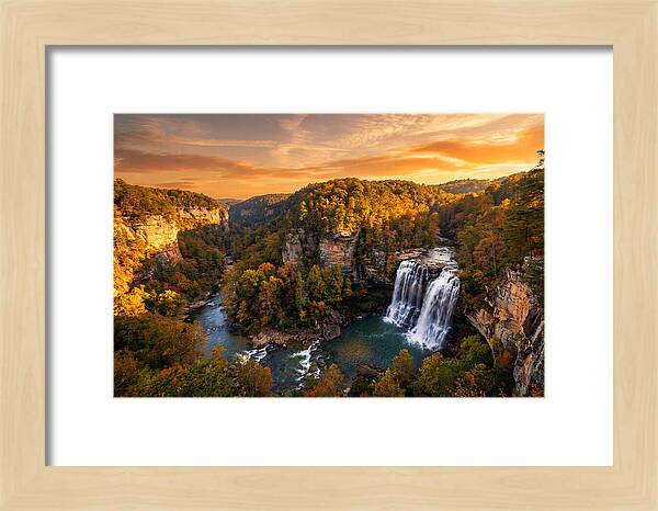 Cloudland Canyon Serenity