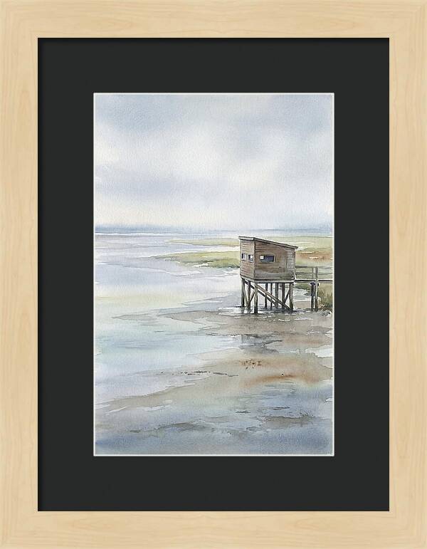 Coastal Bird Hide Overlooking Estuary