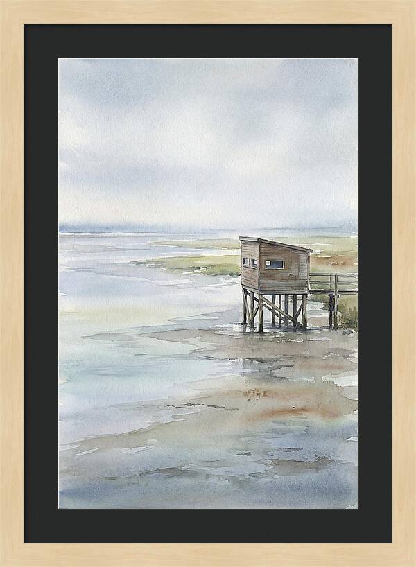 Coastal Bird Hide Overlooking Estuary