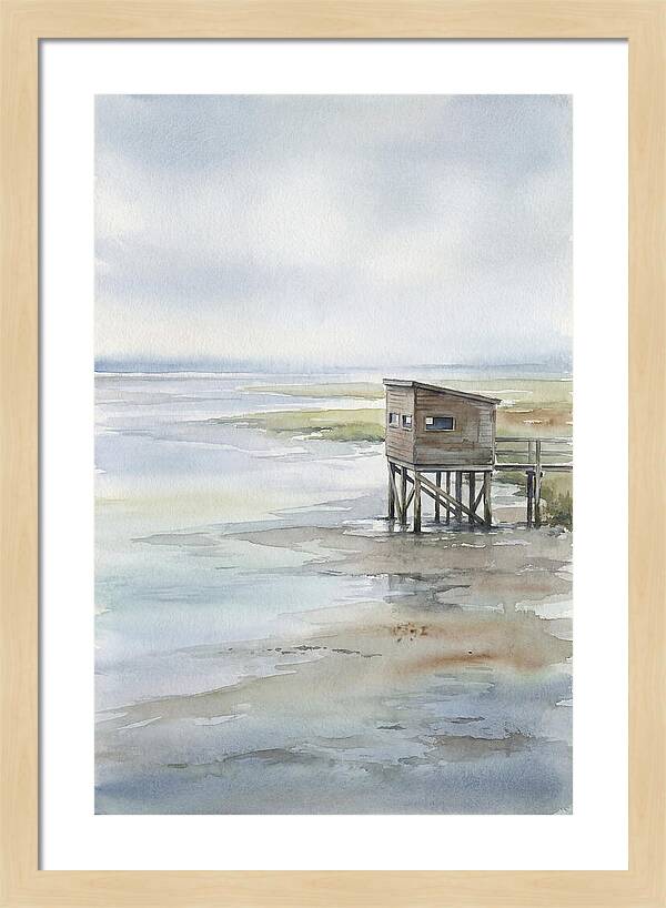 Coastal Bird Hide Overlooking Estuary