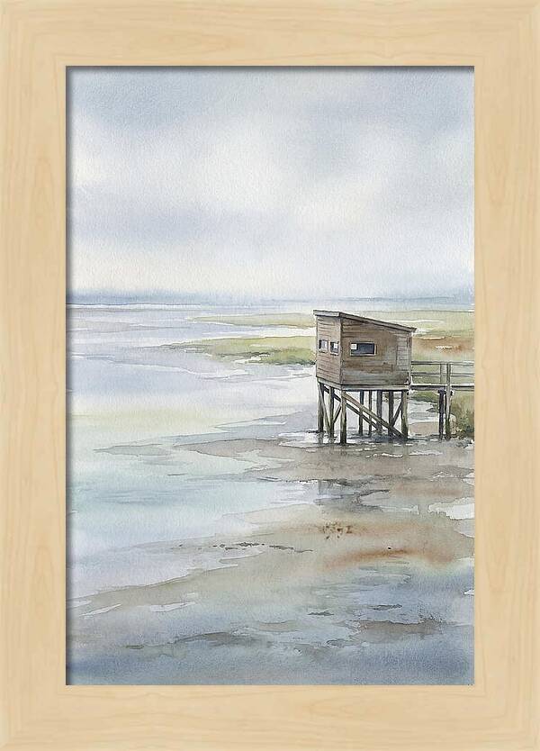 Coastal Bird Hide Overlooking Estuary