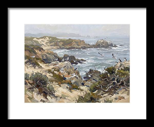 Coastal Cliffs And Seabirds