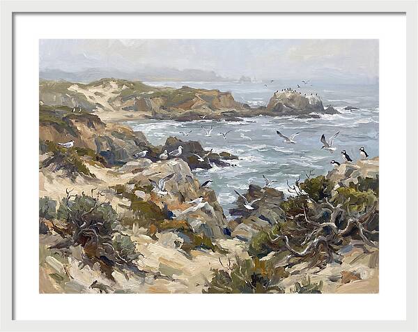 Coastal Cliffs And Seabirds