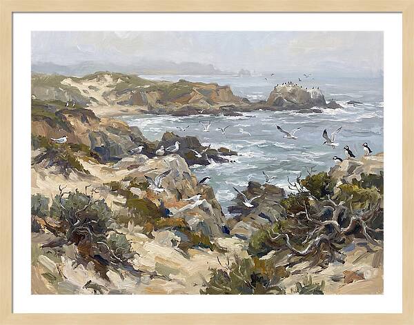Coastal Cliffs And Seabirds