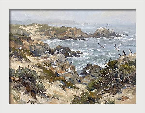Coastal Cliffs And Seabirds
