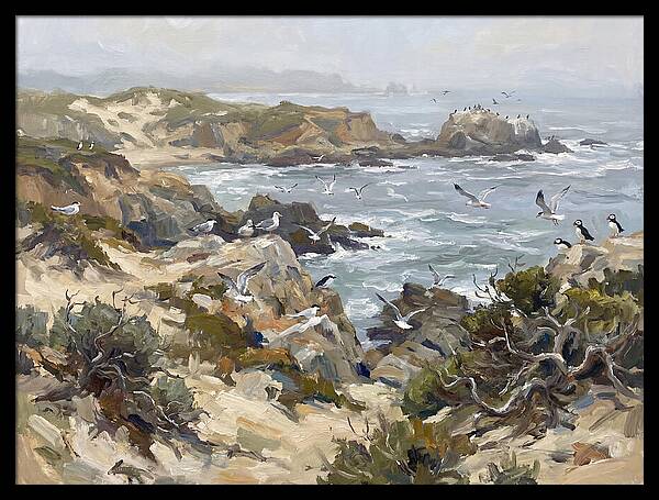 Coastal Cliffs And Seabirds