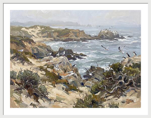 Coastal Cliffs And Seabirds