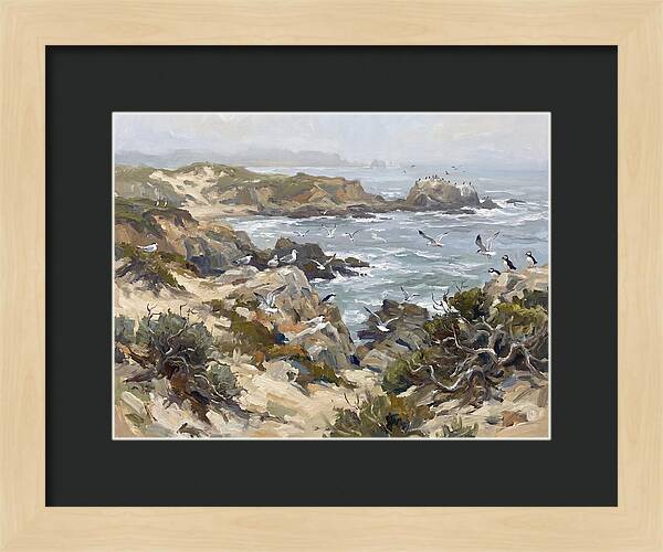 Coastal Cliffs And Seabirds