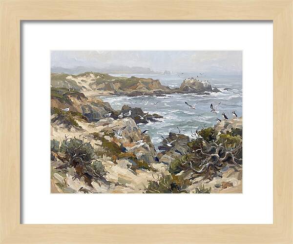 Coastal Cliffs And Seabirds