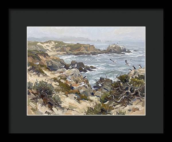 Coastal Cliffs And Seabirds