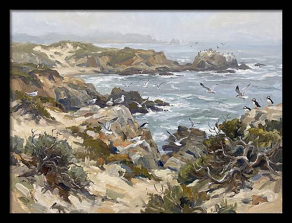 Coastal Cliffs And Seabirds