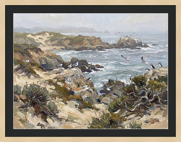 Coastal Cliffs And Seabirds