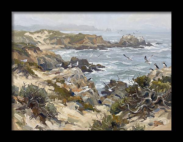 Coastal Cliffs And Seabirds