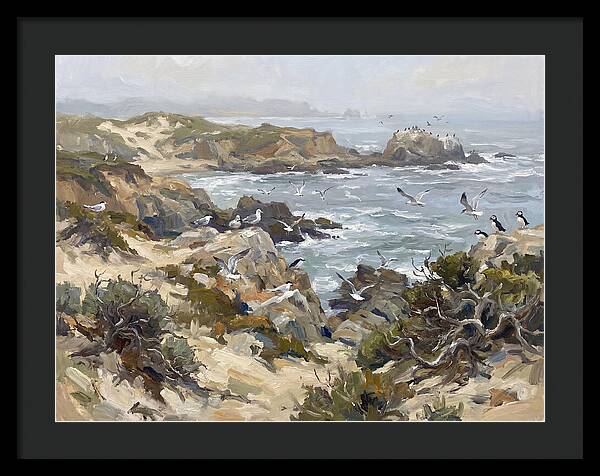 Coastal Cliffs And Seabirds
