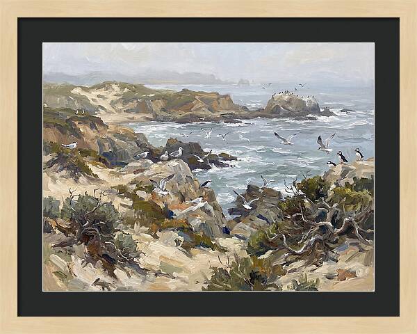 Coastal Cliffs And Seabirds