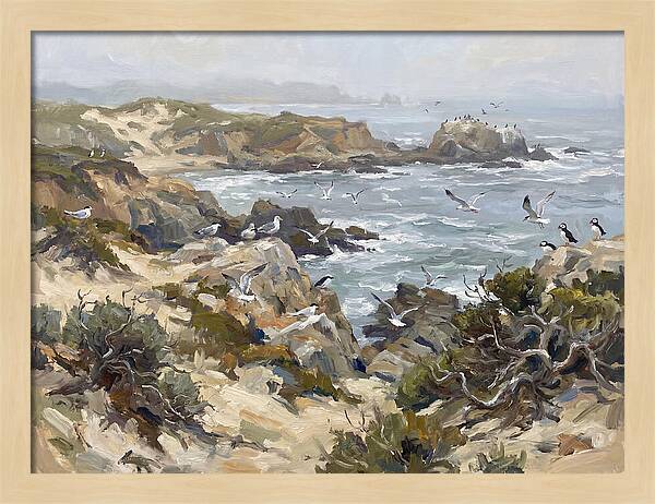 Coastal Cliffs And Seabirds