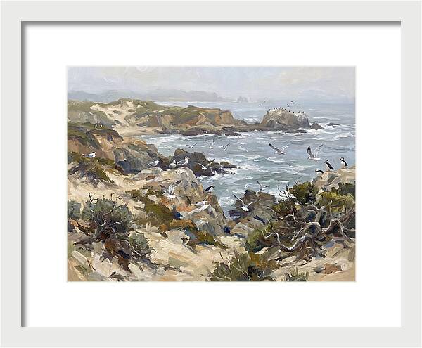 Coastal Cliffs And Seabirds