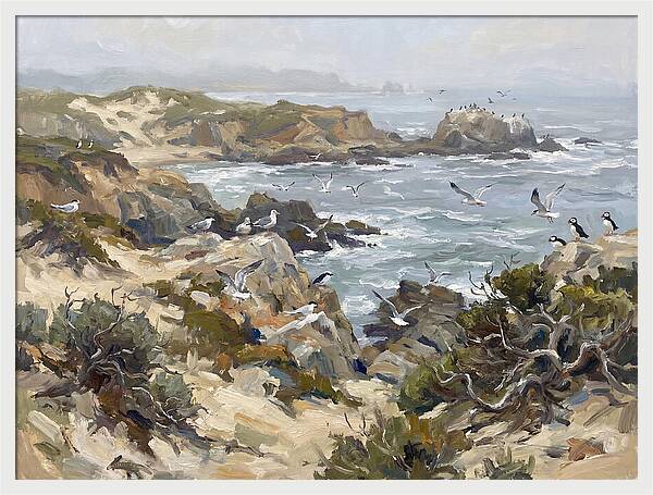 Coastal Cliffs And Seabirds