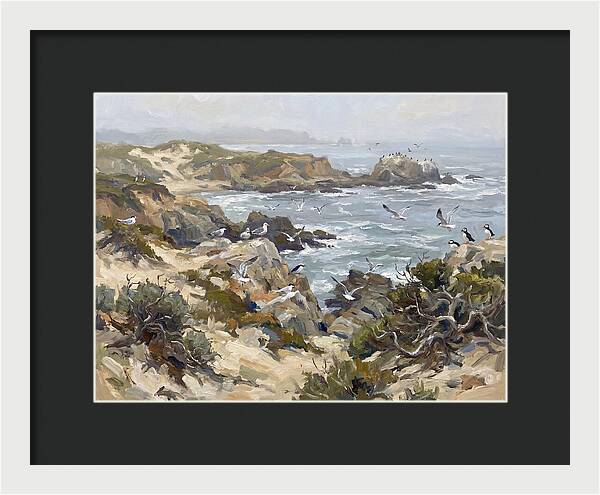 Coastal Cliffs And Seabirds
