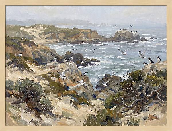 Coastal Cliffs And Seabirds