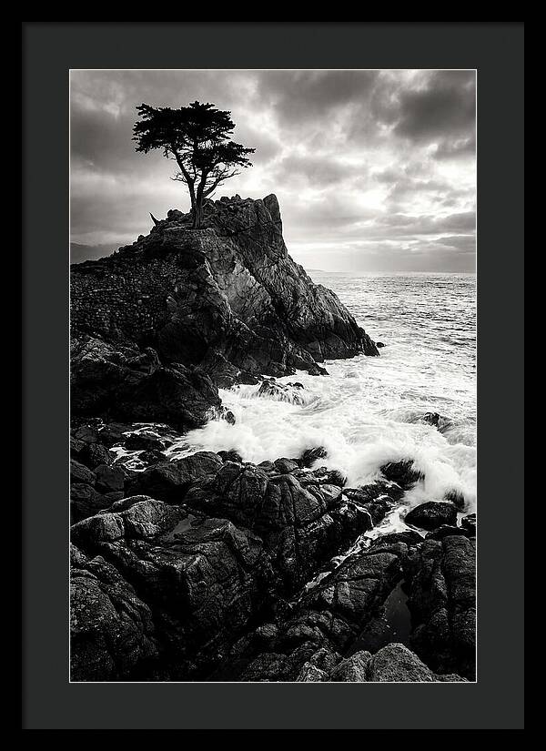 Coastal Drama At Cadillac Mountain