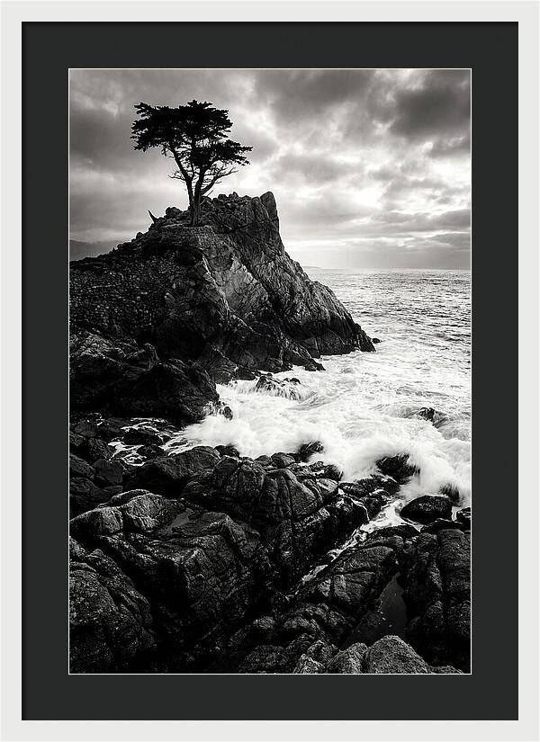 Coastal Drama At Cadillac Mountain