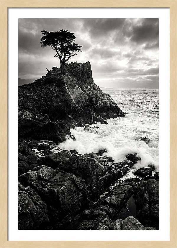 Coastal Drama At Cadillac Mountain