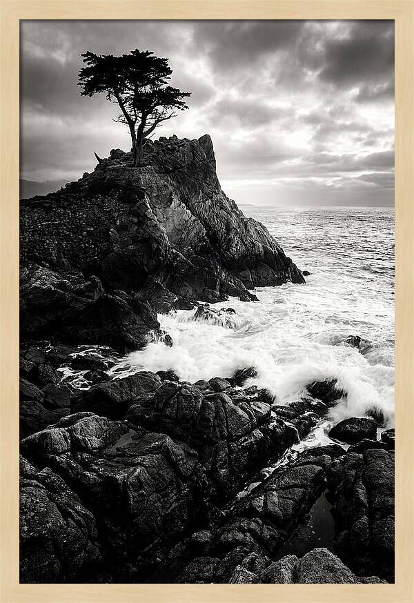 Coastal Drama At Cadillac Mountain