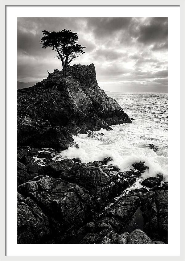 Coastal Drama At Cadillac Mountain