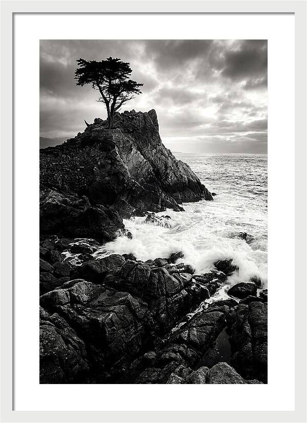 Coastal Drama At Cadillac Mountain