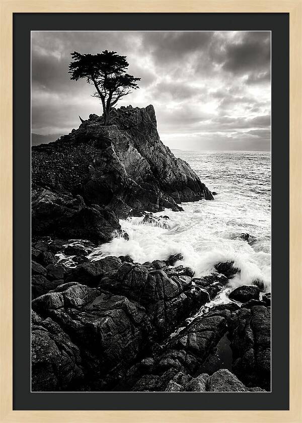 Coastal Drama At Cadillac Mountain