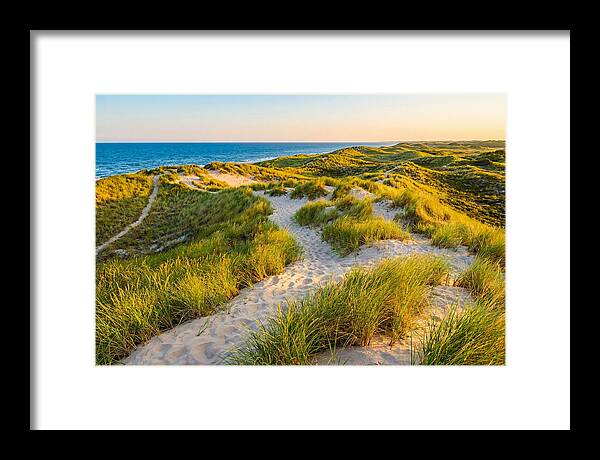 Coastal Dune Serenity