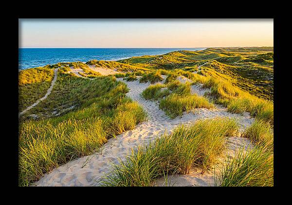 Coastal Dune Serenity