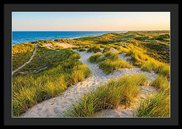 Coastal Dune Serenity