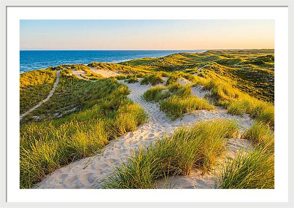 Coastal Dune Serenity