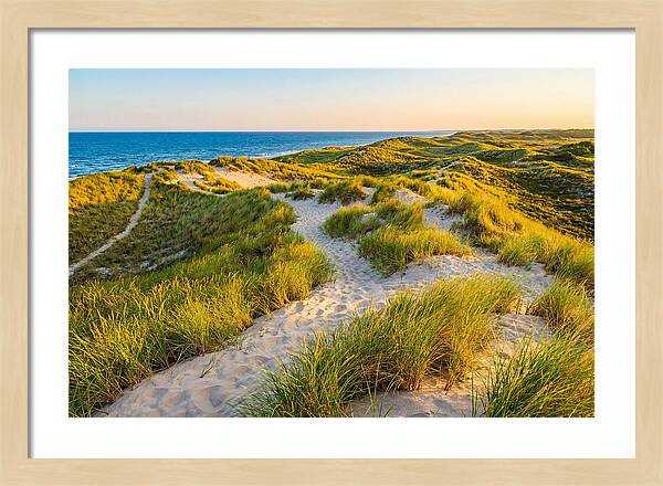 Coastal Dune Serenity
