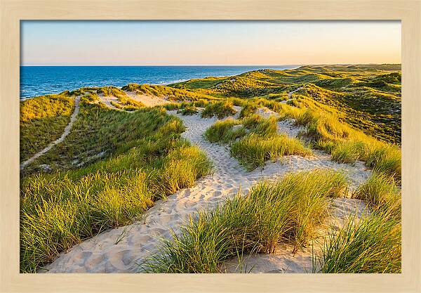 Coastal Dune Serenity