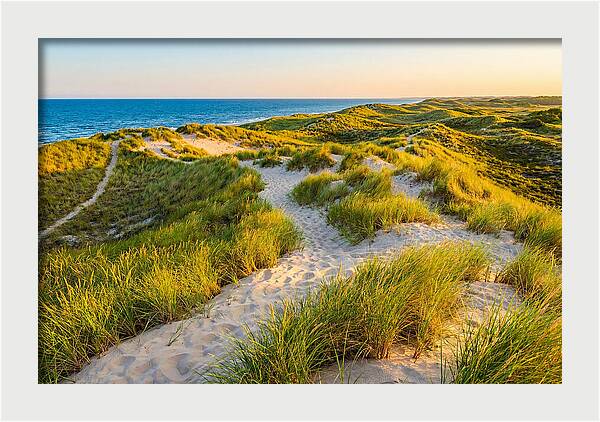 Coastal Dune Serenity