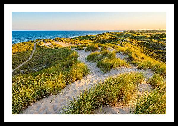 Coastal Dune Serenity