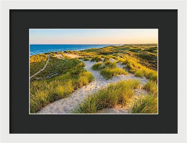 Coastal Dune Serenity