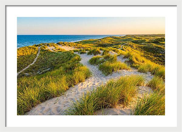 Coastal Dune Serenity