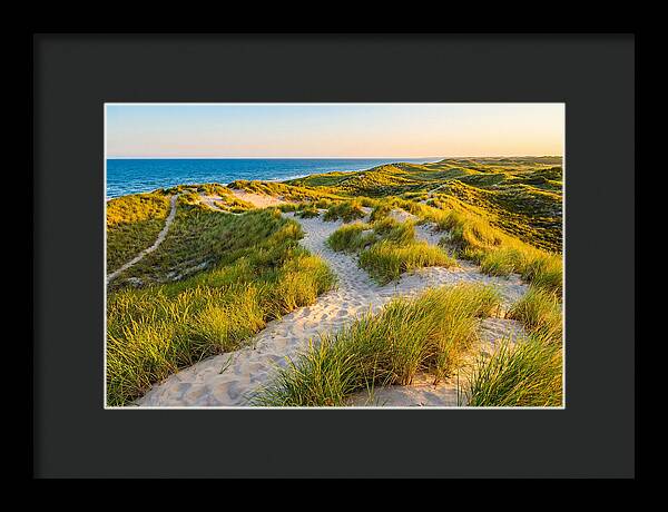 Coastal Dune Serenity