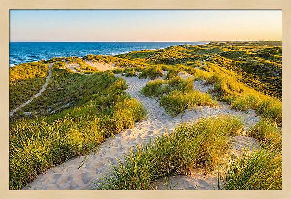 Coastal Dune Serenity
