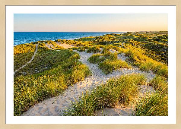 Coastal Dune Serenity