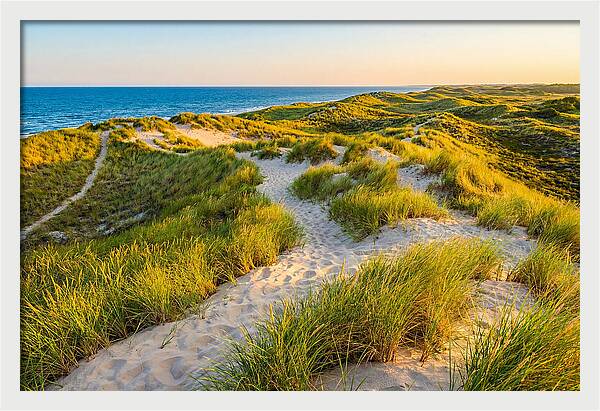 Coastal Dune Serenity
