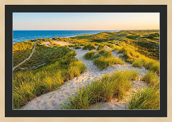 Coastal Dune Serenity