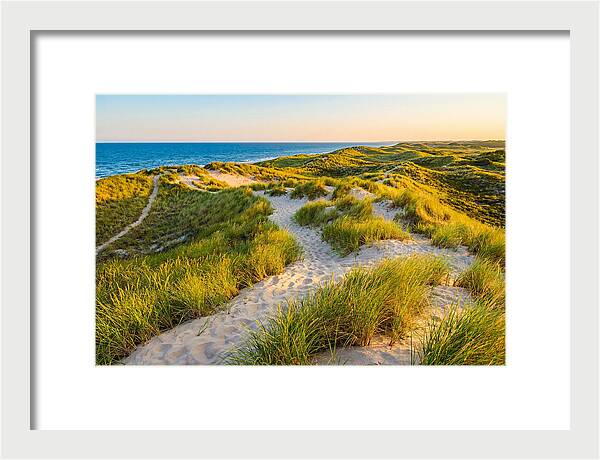 Coastal Dune Serenity