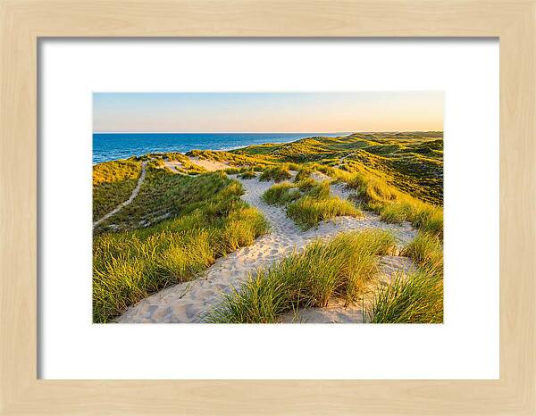 Coastal Dune Serenity