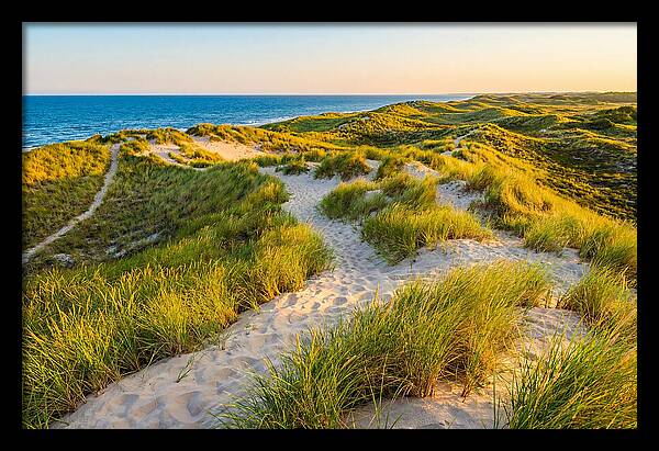 Coastal Dune Serenity