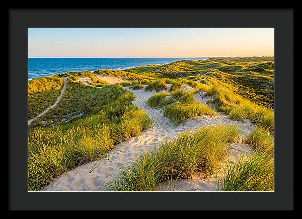 Coastal Dune Serenity